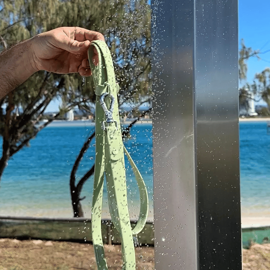 Hands Free Leash - Sage