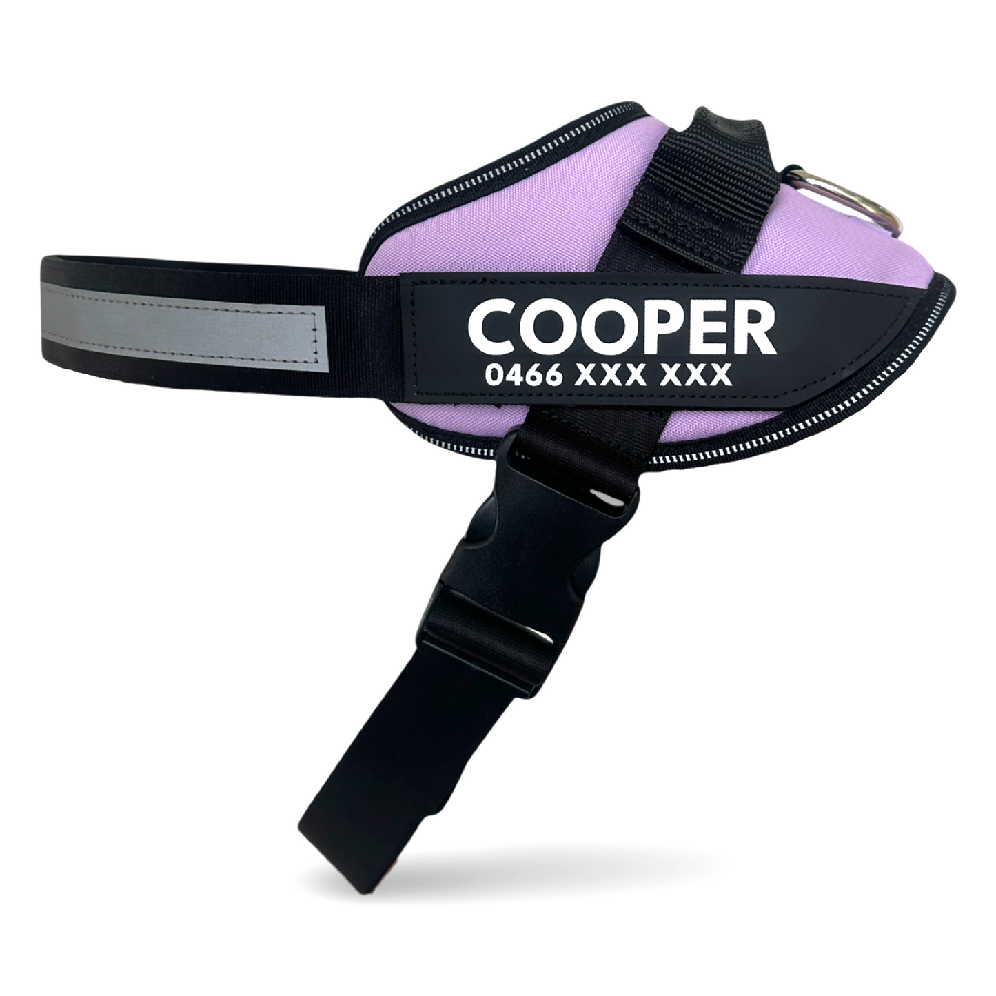 Harness Walk Kit - Lilac