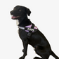 Clip & Go Harness - Lilac