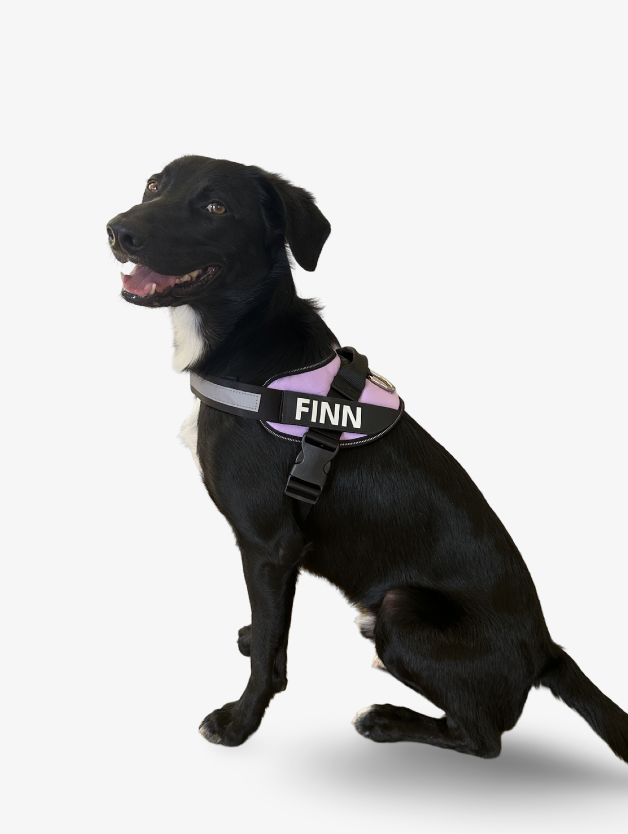 Clip & Go Harness - Lilac