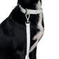 Collar - Neutral